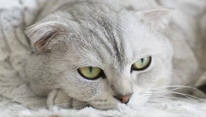 系统U盘(购买方法)